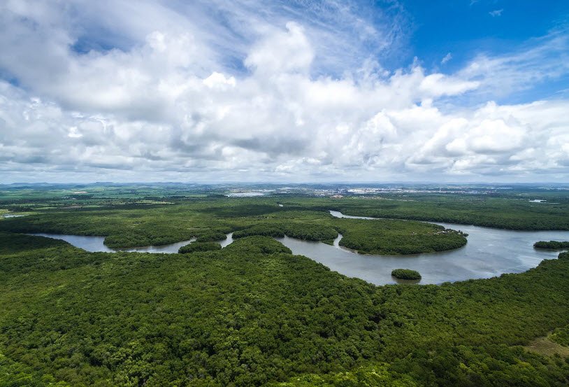 Amazon River, Amazonas Region, Brazil